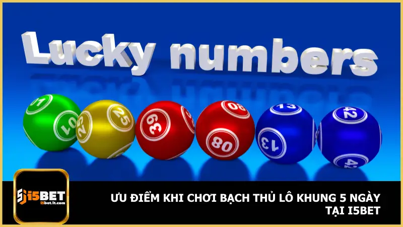 i5bet còn mang đến hệ thống hỗ trợ người chơi theo khung một cách bài bản và hiện đại
